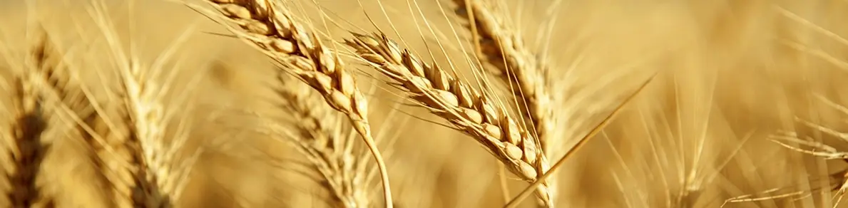 testing-agri-banner
